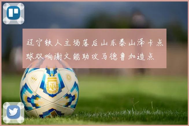 辽宁铁人主场落后山东泰山泽卡点球双响谢文能助攻马德鲁加造点